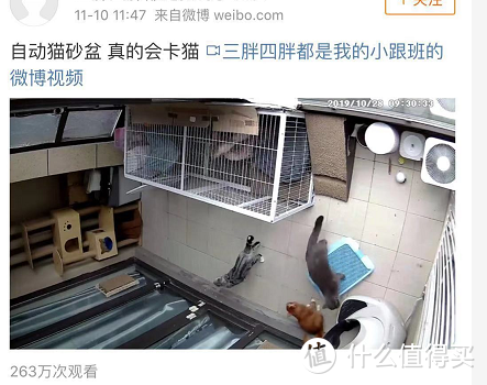 安生事件频发的自动猫砂盆到底值不值，养猫大户硬核全面测评