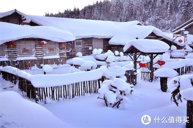 雪景那么美，不如一起去看雪