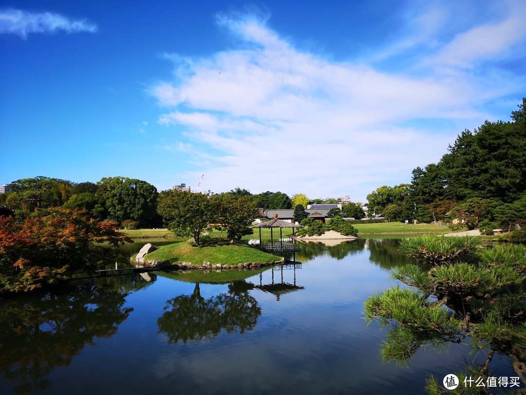 叫我张三风！12天3场台风的霓虹国佛系之旅（一）