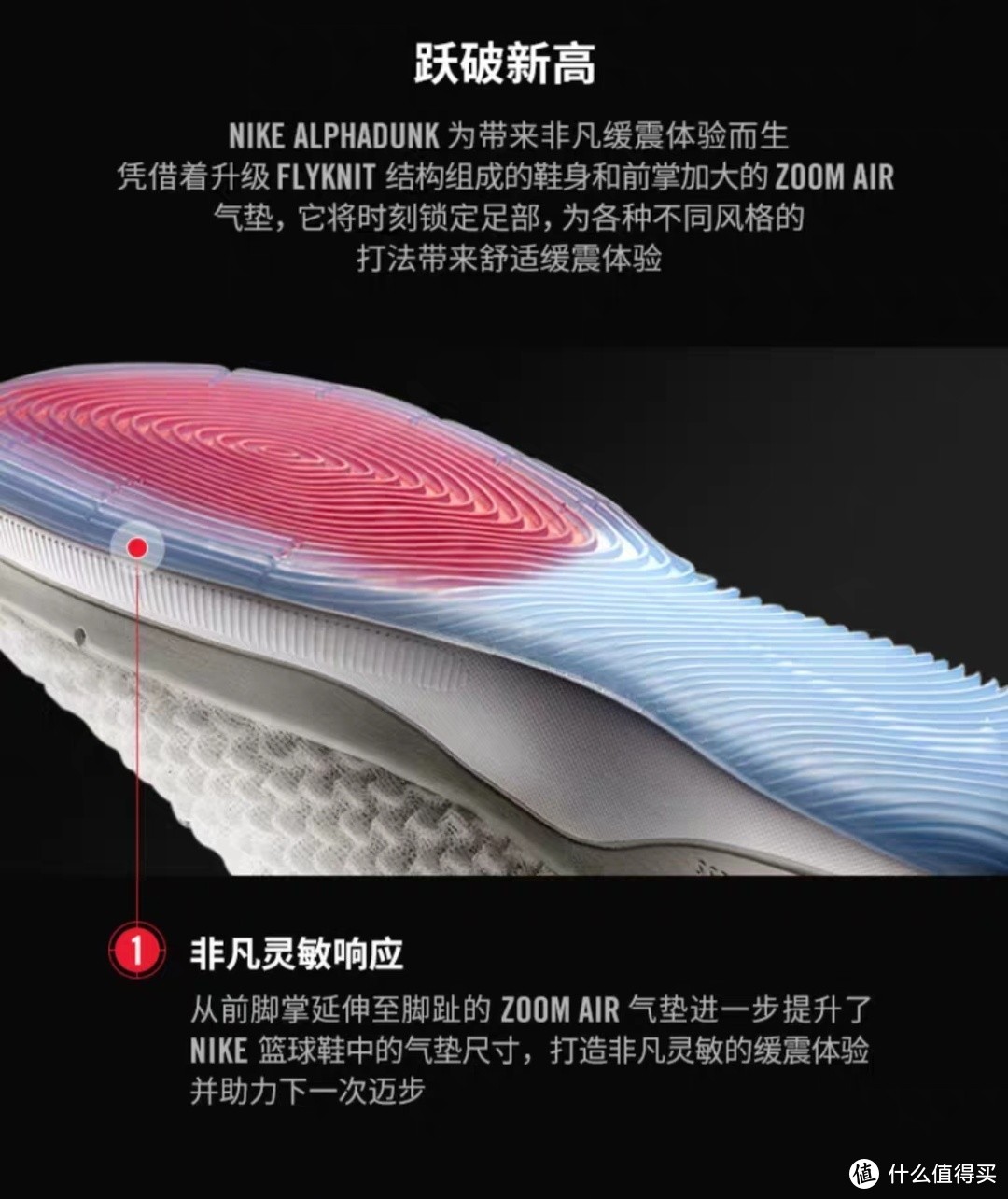 大气垫的团队款-NIKE ALPHADUNK-开箱