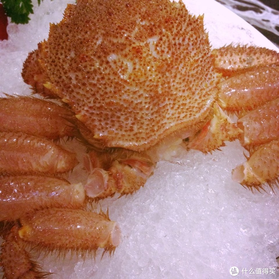 作为饱受争议的选手——面包蟹，你相信面包蟹比其它蟹好吃吗？今天来做个对比。