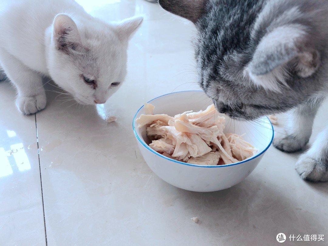 最简单的猫咪营养餐-尚选 单冻鸡大胸 健身鸡胸肉 1kg