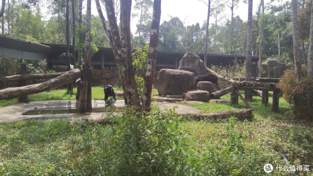 越南富国岛上的Safari动物园一日游