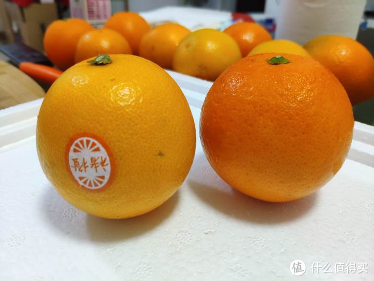 网红橙 pk 网红の橙！褚橙和“华农一笑”赣南脐橙的对比评测