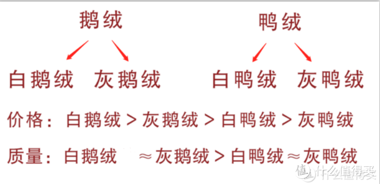 羽绒服这样选不被坑~1000元以下高品质款一网打尽！[附清洗教程]