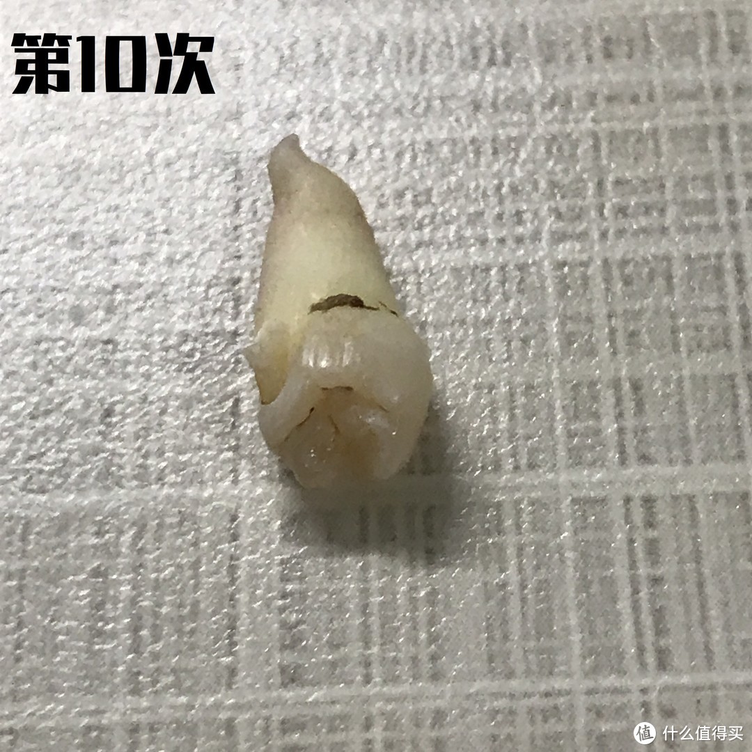 几经周折后拔掉的多齿生齿，还能用来做测评？