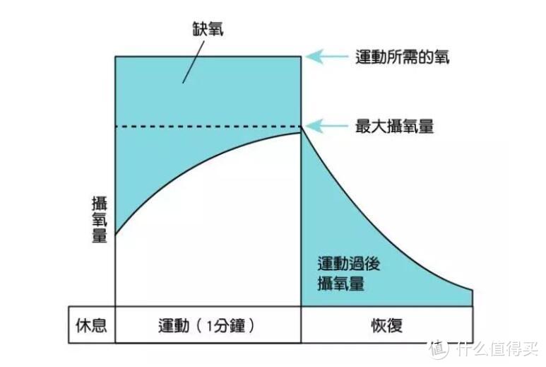 男靠强度，女靠次数——关于减脂的3个小常识