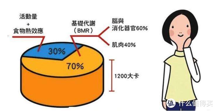 男靠强度，女靠次数——关于减脂的3个小常识