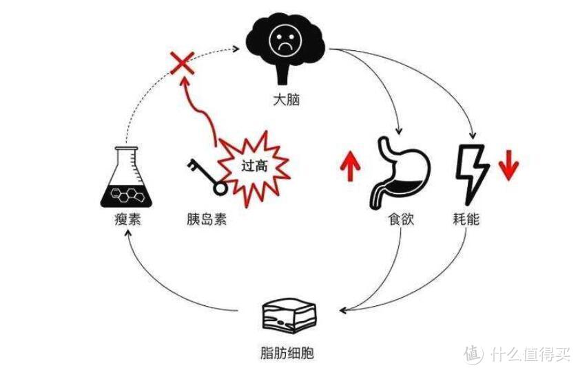 男靠强度，女靠次数——关于减脂的3个小常识