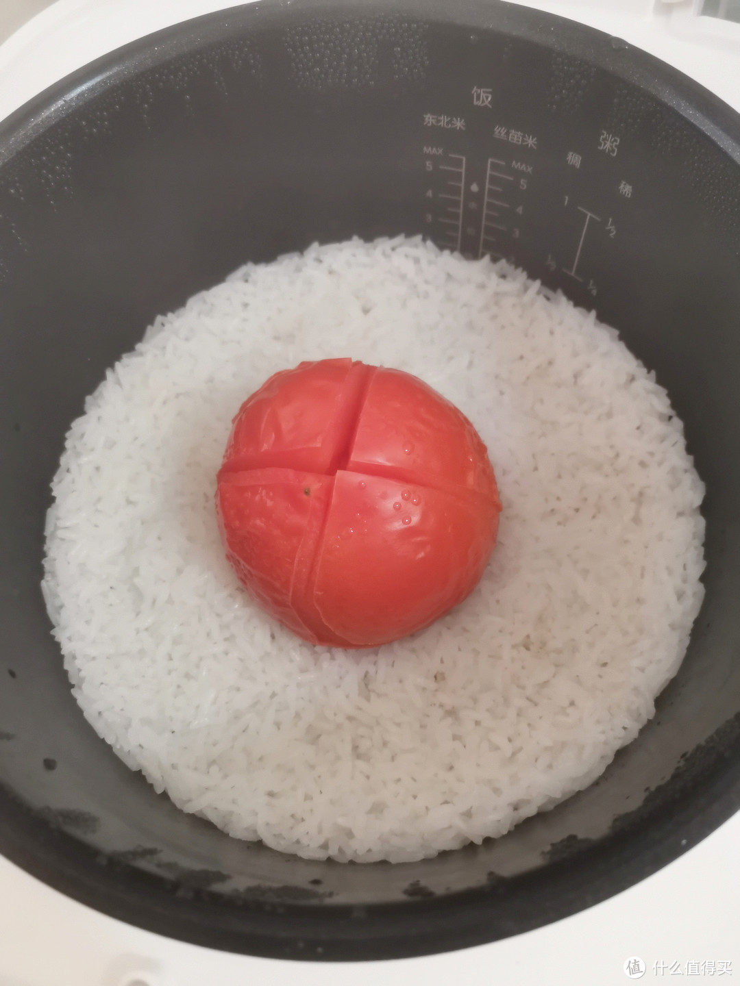 一杯米，一个番茄，搞定美味番茄焖饭，米家电饭煲C1首秀！