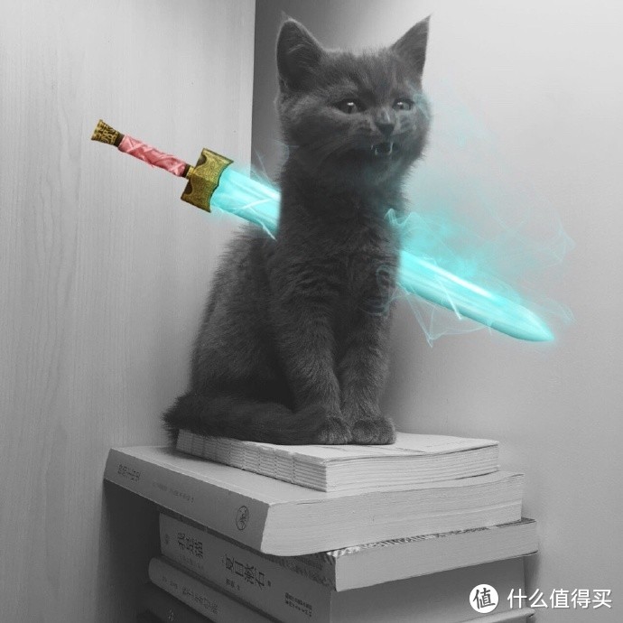 蜜桃猫盲盒第一弹来了，第二弹还会远吗？