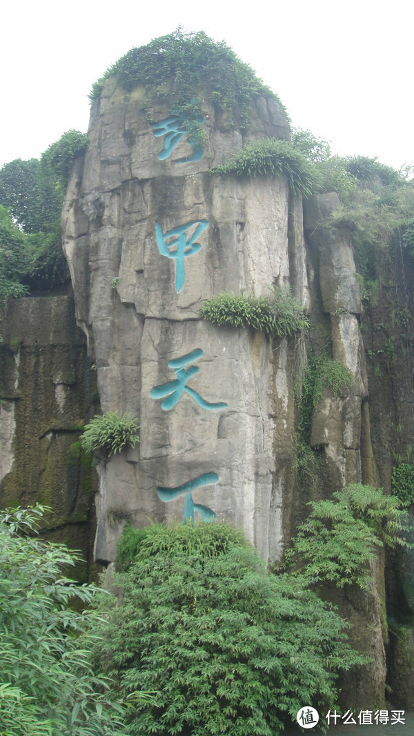 峨眉山，一日速游高中低山区（包含金顶+生态猴区）