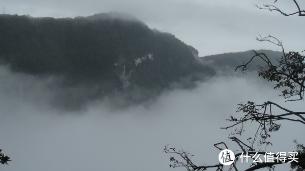 峨眉山，一日速游高中低山区（包含金顶+生态猴区）