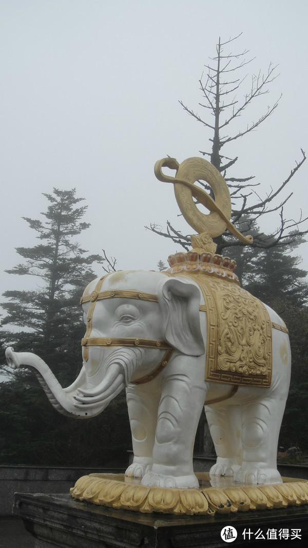 峨眉山，一日速游高中低山区（包含金顶+生态猴区）