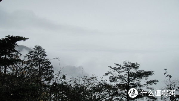 峨眉山，一日速游高中低山区（包含金顶+生态猴区）