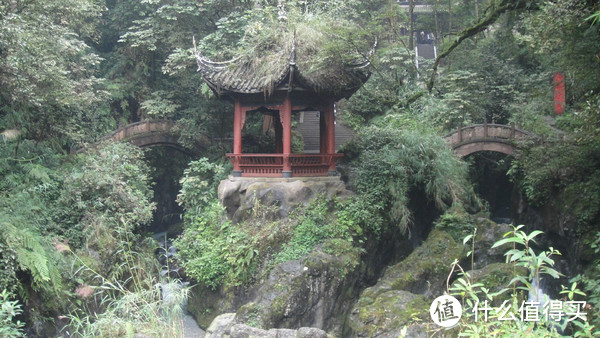 峨眉山，一日速游高中低山区（包含金顶+生态猴区）