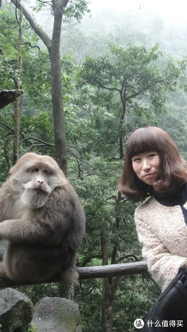 峨眉山，一日速游高中低山区（包含金顶+生态猴区）