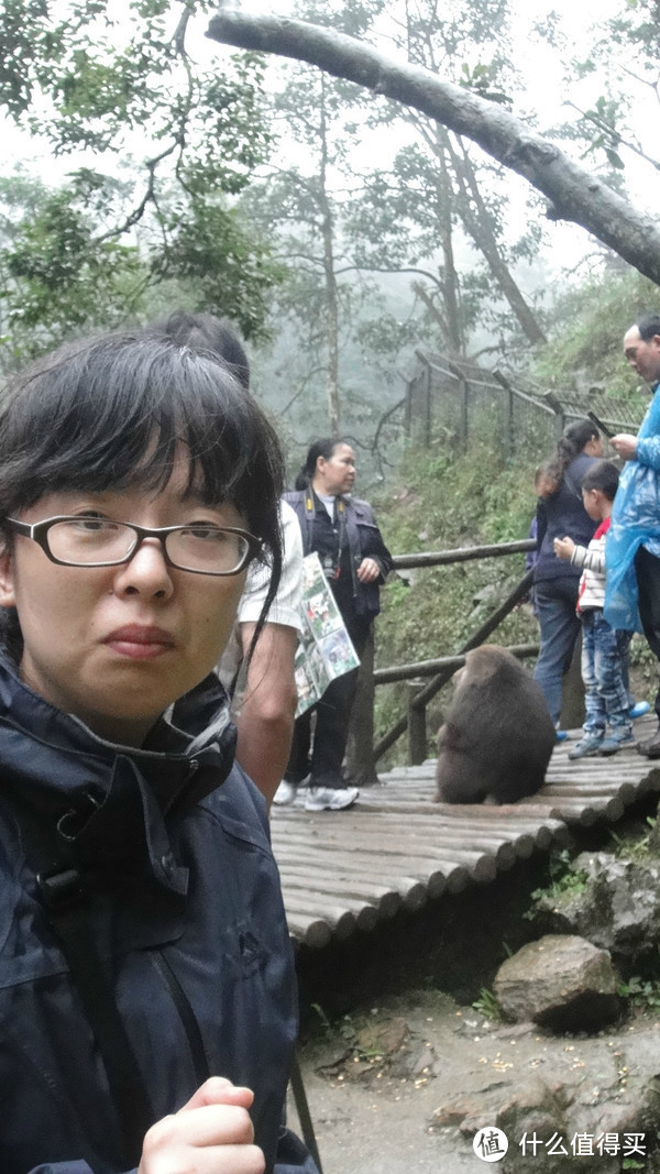 峨眉山，一日速游高中低山区（包含金顶+生态猴区）