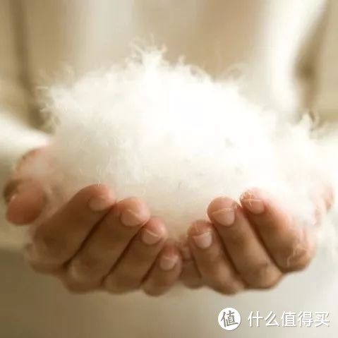 羽绒服越厚越好？错！羽绒服上没有这几个字，再有钱也别买！