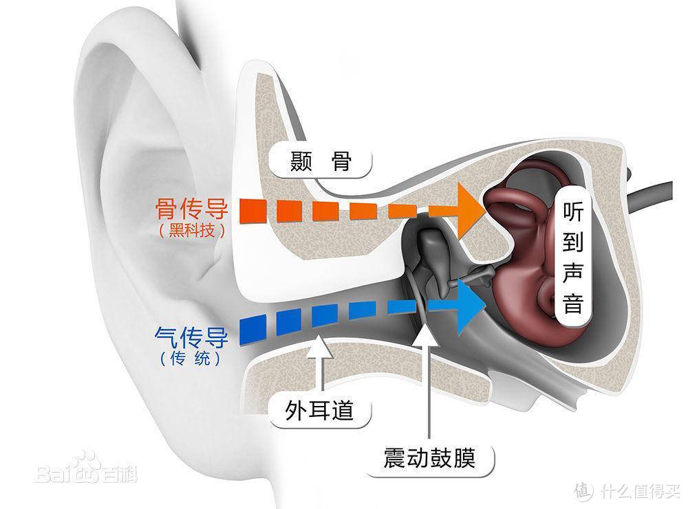 释放双耳，也可纵享音乐