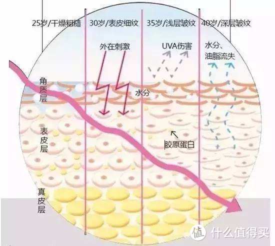 80后大叔的日常护肤和囤货分享（基底精华篇）