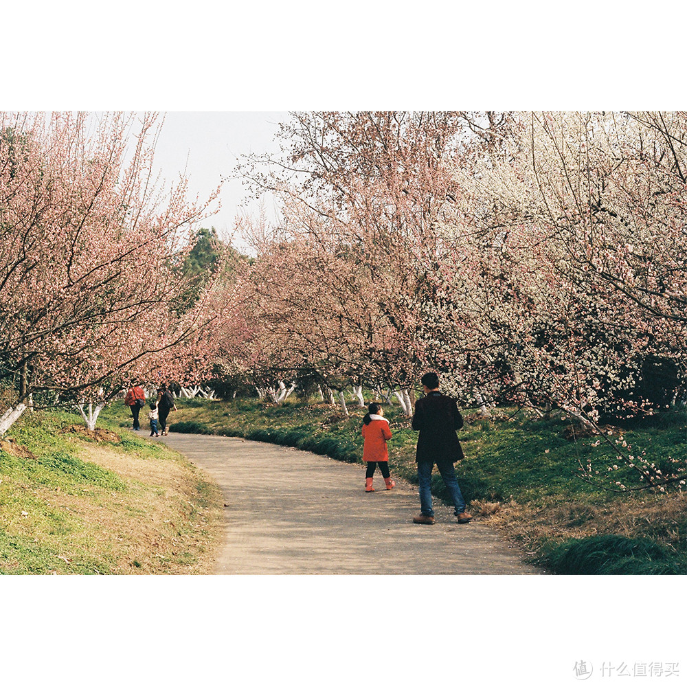 合肥植物园