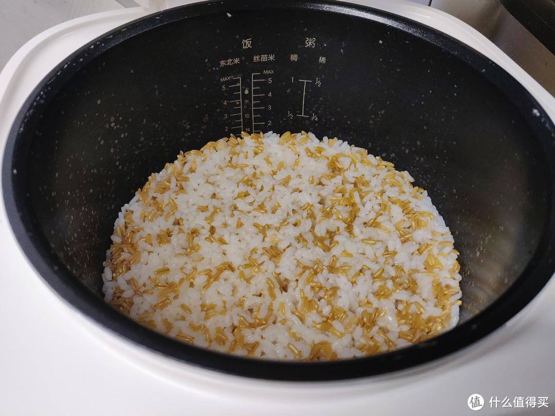 一款满足一日三餐煮食、经济实惠的百元电饭煲（附电饭煲食谱）-米家MDFBZ02ACM电饭煲C1