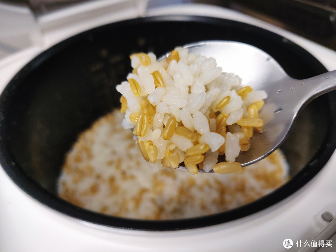 一款满足一日三餐煮食、经济实惠的百元电饭煲（附电饭煲食谱）-米家MDFBZ02ACM电饭煲C1