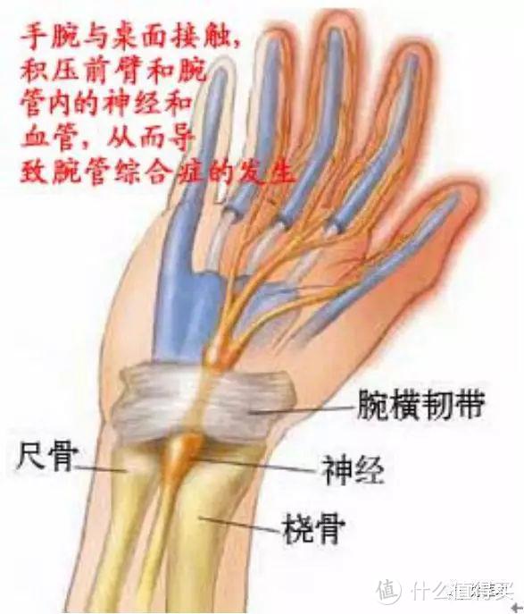 鼠标手？键盘手？手腕疼又不得不搬砖？简单几个动作坐在工位就能拉伸缓解