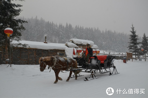 哈尔滨雪乡穿越，羊草山顶看日出