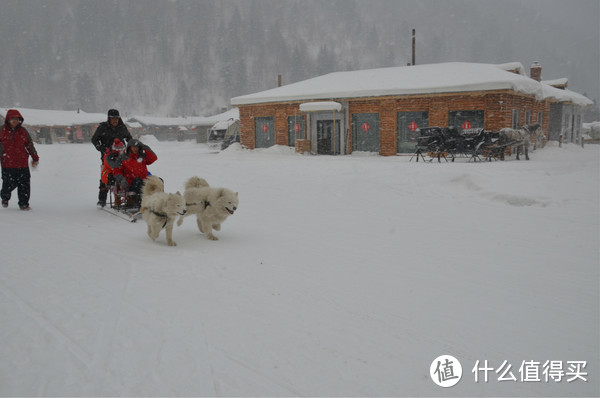 哈尔滨雪乡穿越，羊草山顶看日出