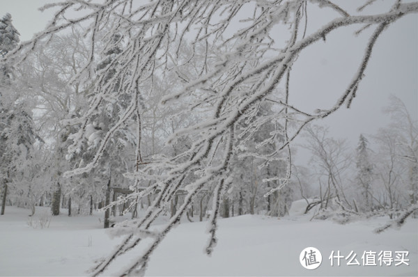 哈尔滨雪乡穿越，羊草山顶看日出