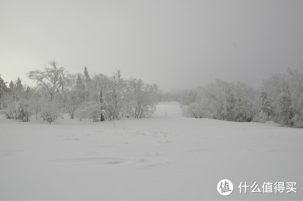 哈尔滨雪乡穿越，羊草山顶看日出