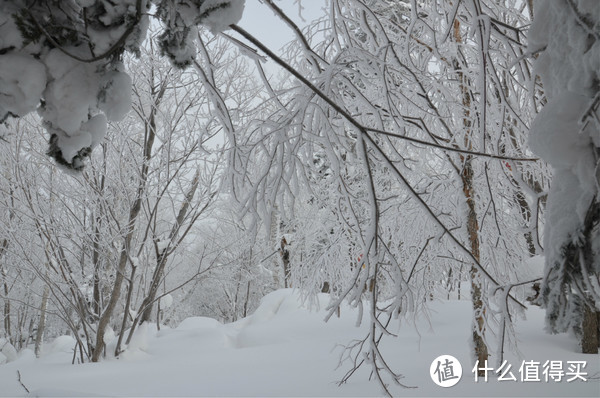 哈尔滨雪乡穿越，羊草山顶看日出