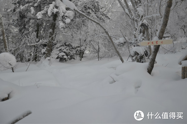 哈尔滨雪乡穿越，羊草山顶看日出