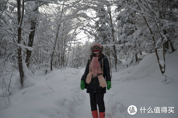 哈尔滨雪乡穿越，羊草山顶看日出