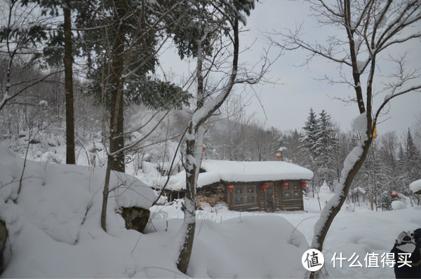 哈尔滨雪乡穿越，羊草山顶看日出