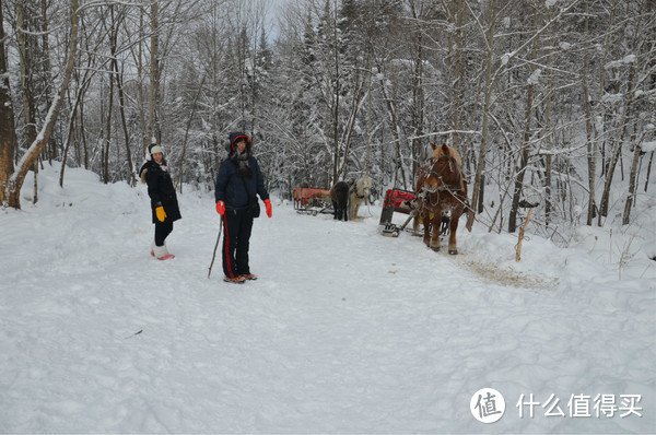 哈尔滨雪乡穿越，羊草山顶看日出