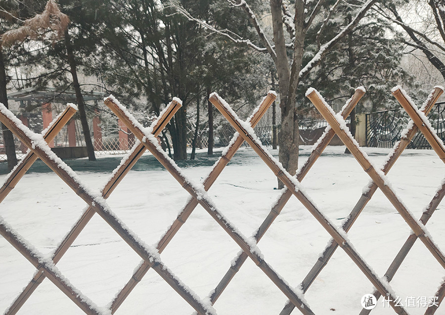 路过某公园，一夜及早上的雪在篱笆上都有积雪