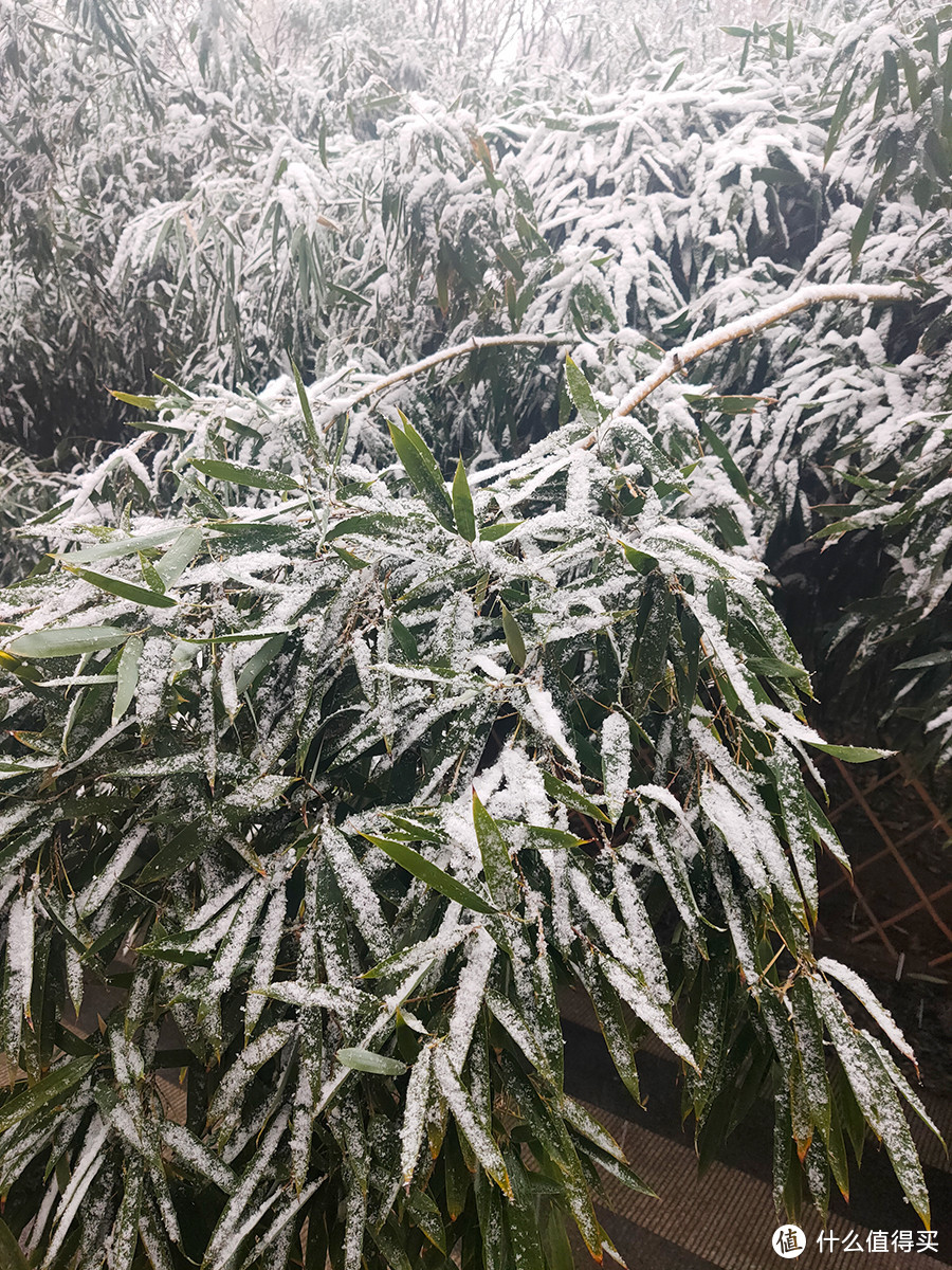 北京第二场雪来也匆匆，去也匆匆