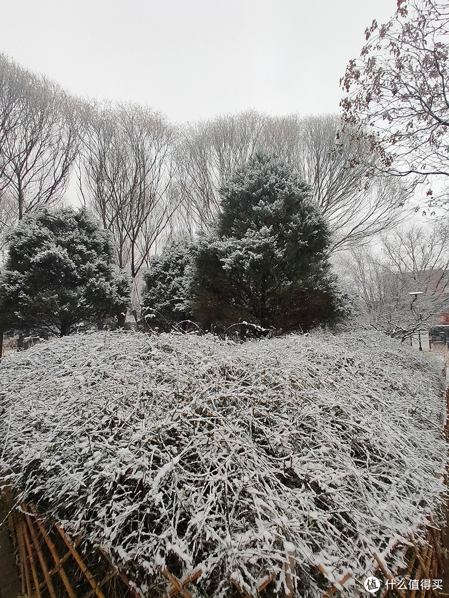 北京第二场雪来也匆匆，去也匆匆