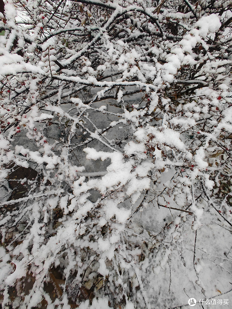 北京第二场雪来也匆匆，去也匆匆