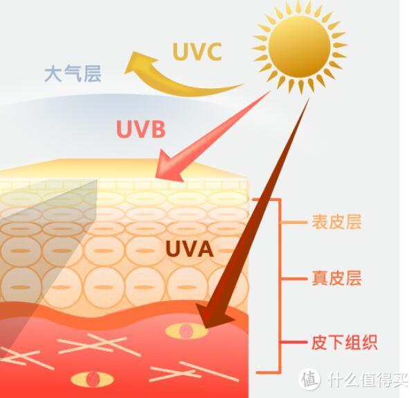 1000块的润肤霜还不如100块的防晒霜？——关于护肤的几个小知识