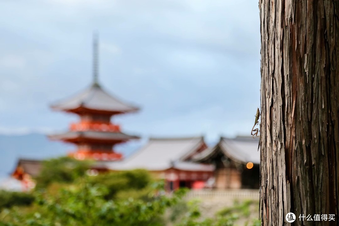 京都清水观音寺