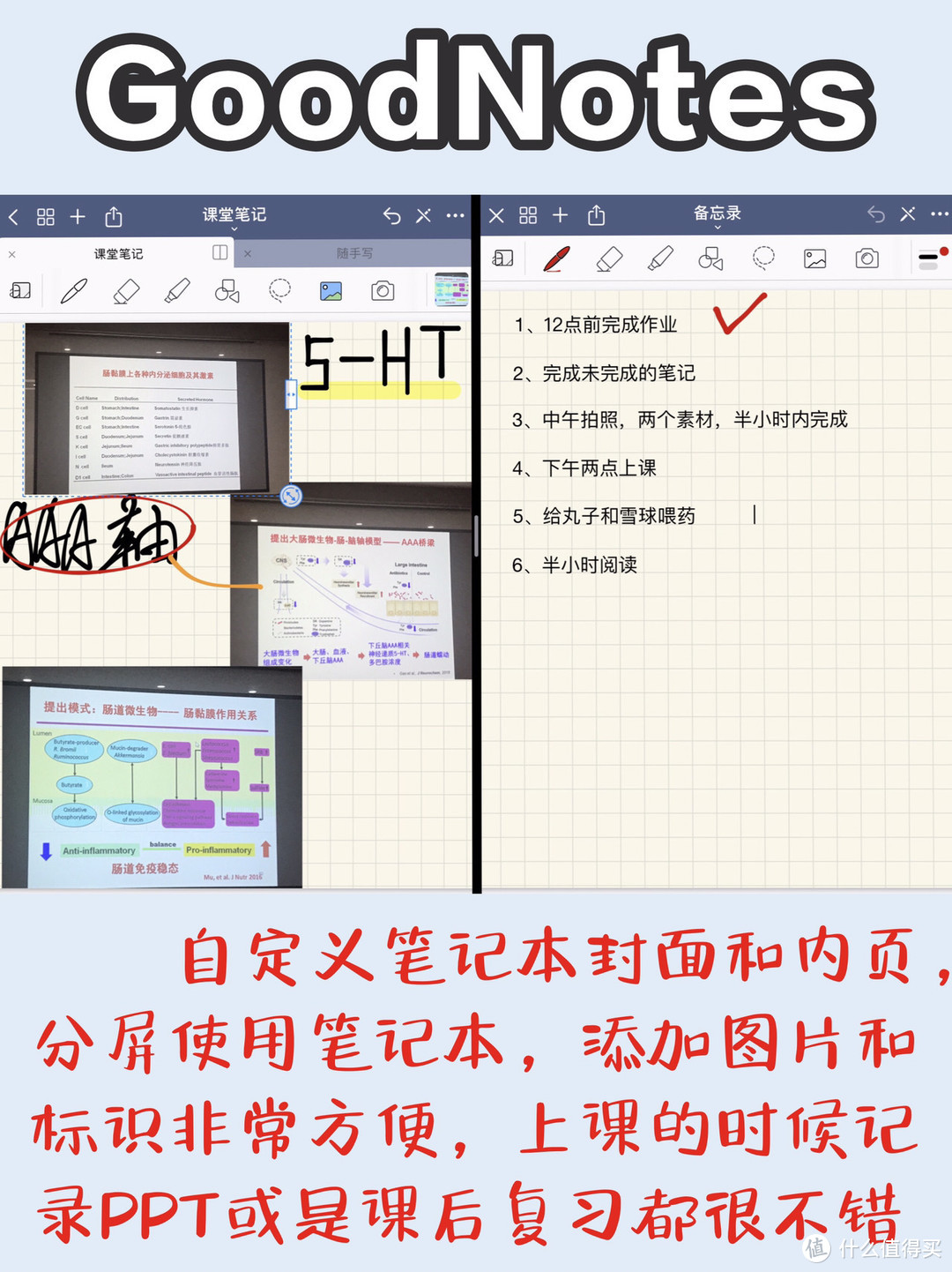 真正的生产力工具！论如何实现ipad无纸化学习（附高效背单词大法及英文原版书推荐）