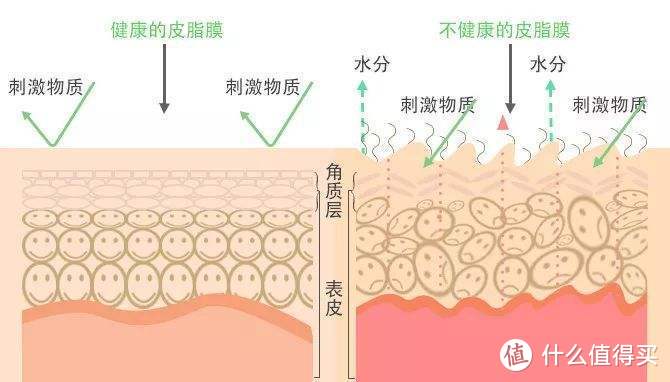 要补水保湿？先看懂成分！——冬季男士补水保湿攻略