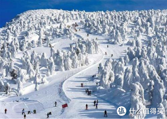 东京+东北+北海道-出行前的交通-最硬核最优的线路价格送给你