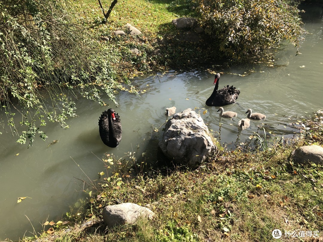 2019年逛了什么地