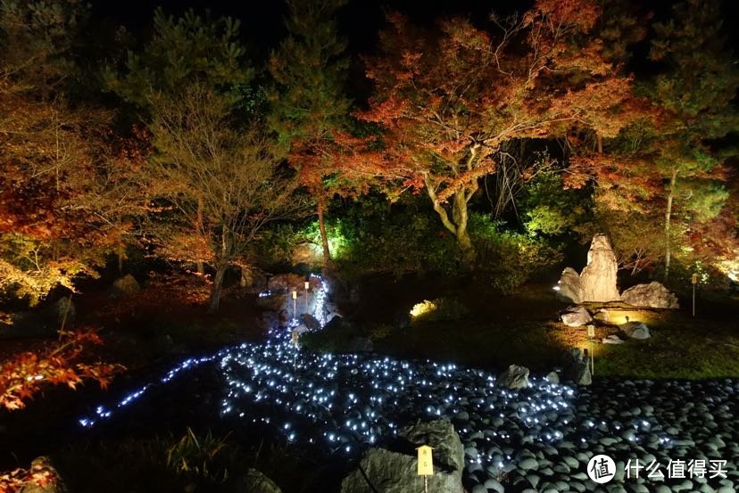 宝严院的夜枫小景观，黑卡m3手持夜景模式傻瓜拍拍