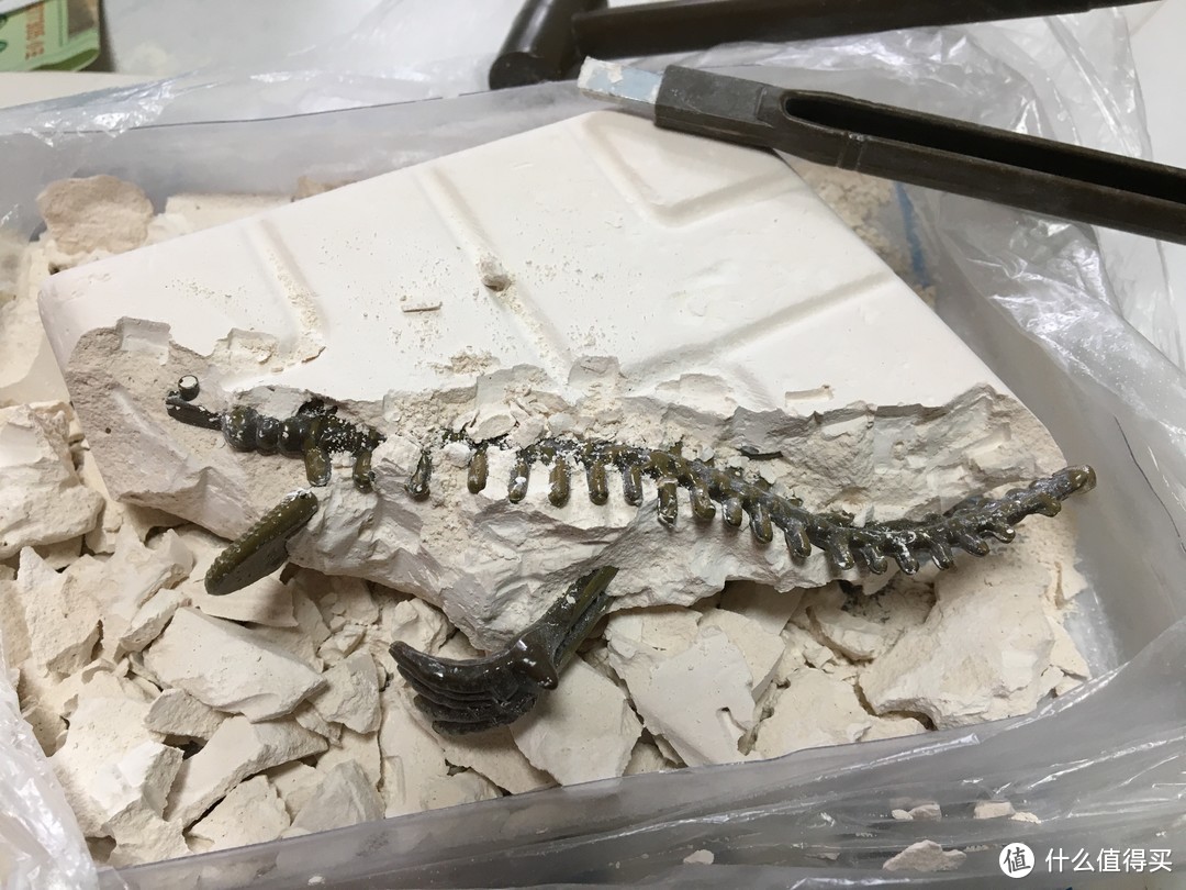 图书馆猿の格奇 儿童恐龙化石挖掘玩具 简单晒